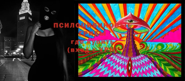 соль ск Верхний Тагил